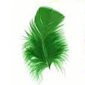 Pulyka pihetoll 5gr. - #31 KELLY